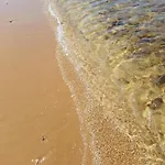 Mare *