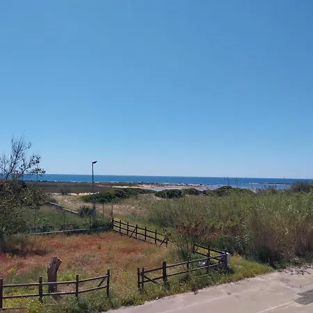 Mare