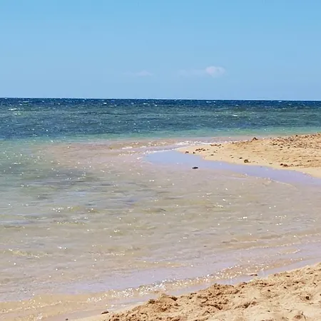 Mare * Torre Pali